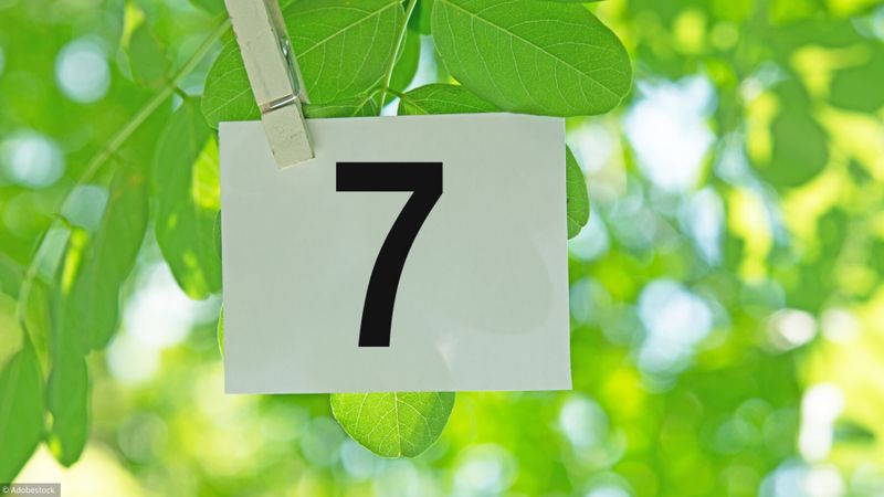 7 moyens d’améliorer votre retraite