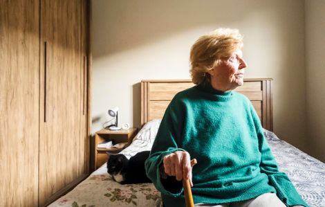 animal compagnie ehpad senior chambre