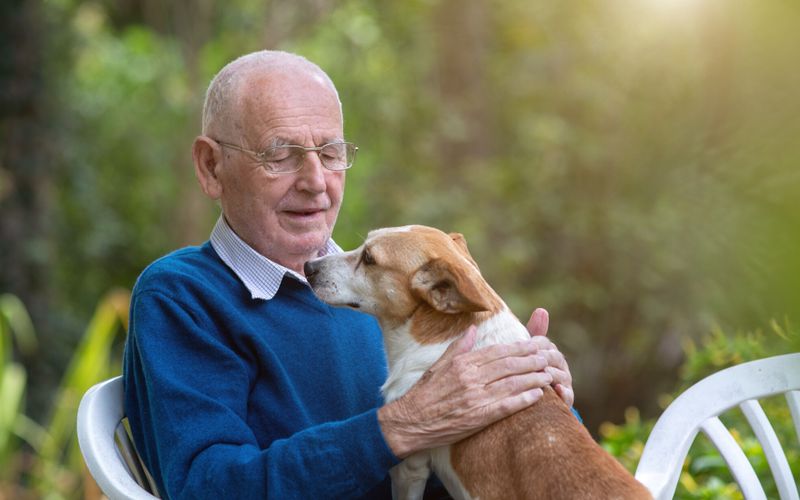 Ehpad: "Comment trouver un établissement qui accepte les animaux?"