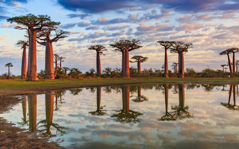 Évasion à Madagascar, des hautes terres aux rives de l’océan