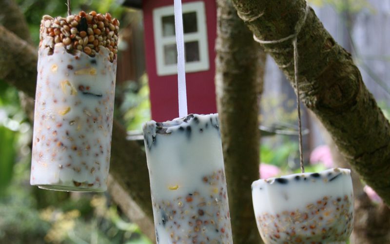 Comment faire des boules de graisse et de graines sans filet pour les oiseaux?