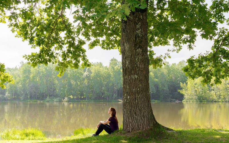 Les arbres, ces trésors de la nature qui nous soignent