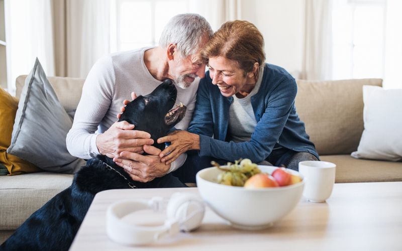 Pension de réversion: un droit ouvert aux couples pacsés?