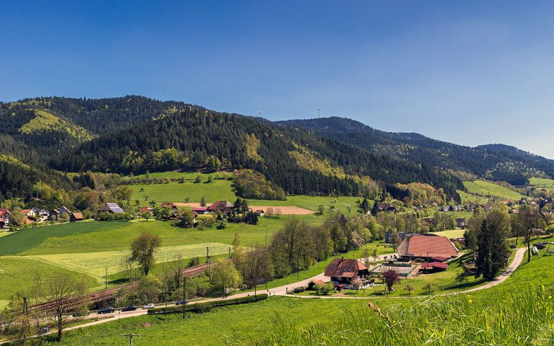 La Forêt-Noire, carte postale d'Allemagne