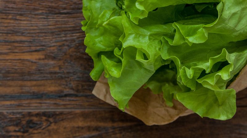 Illustration de salade