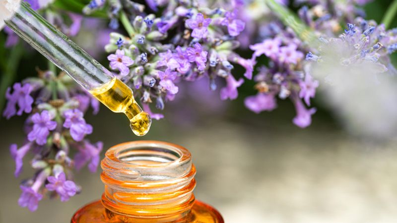 Illustration d'huile essentielle de lavande