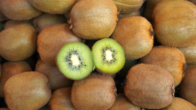 Illustration d'un kiwi