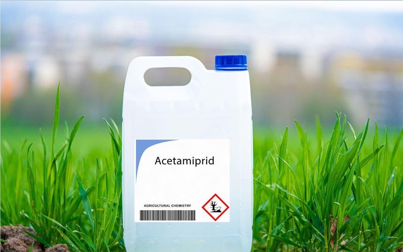 Loi Duplomb: 4 questions pour tout comprendre sur la polémique et la pétition citoyenne