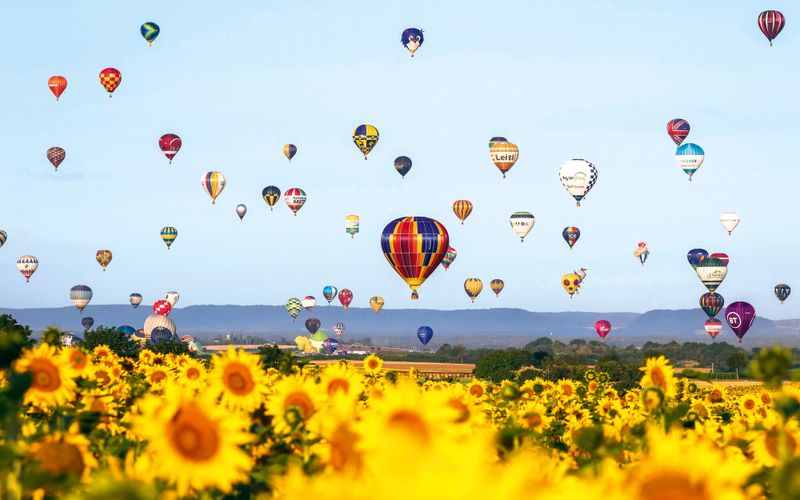 Sortie en famille: et si on allait voir les montgolfières?