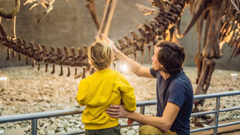 musée-dinaosaure-enfant