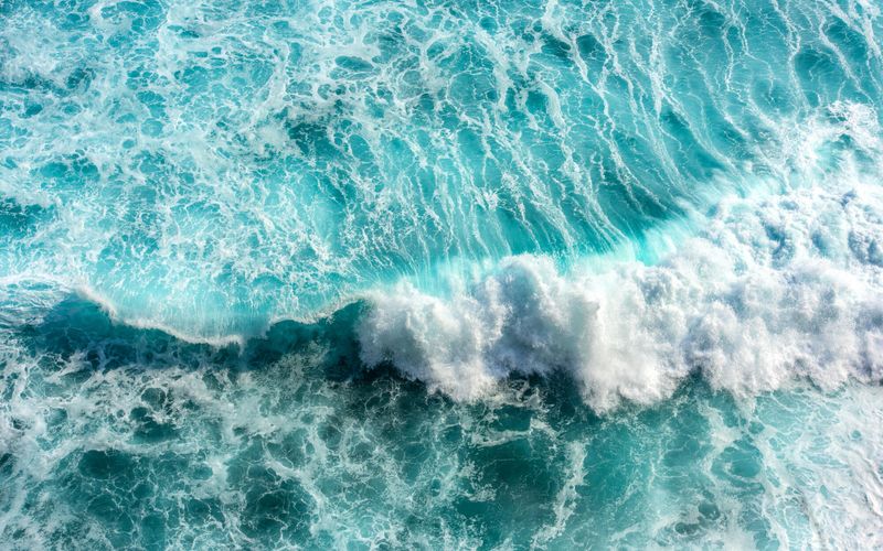 Craig Foster "Notre survie est liée à celle des océans"