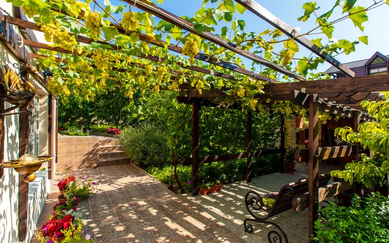 Jardin: créer un îlot de fraîcheur et d'ombre