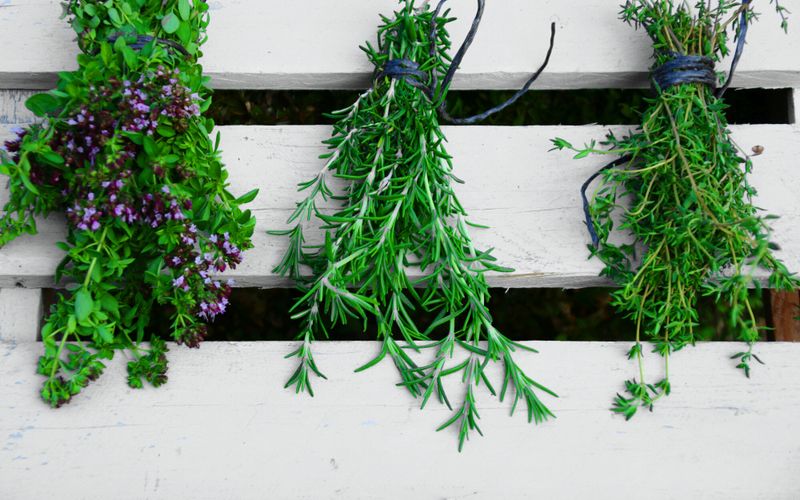 Au jardin: Je fais mes plantes séchées aromatiques