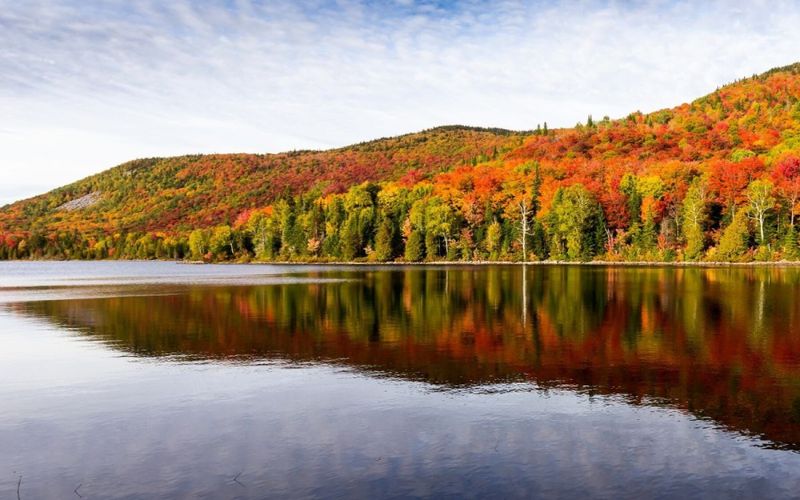 Évasion: Québec, le plein de nature
