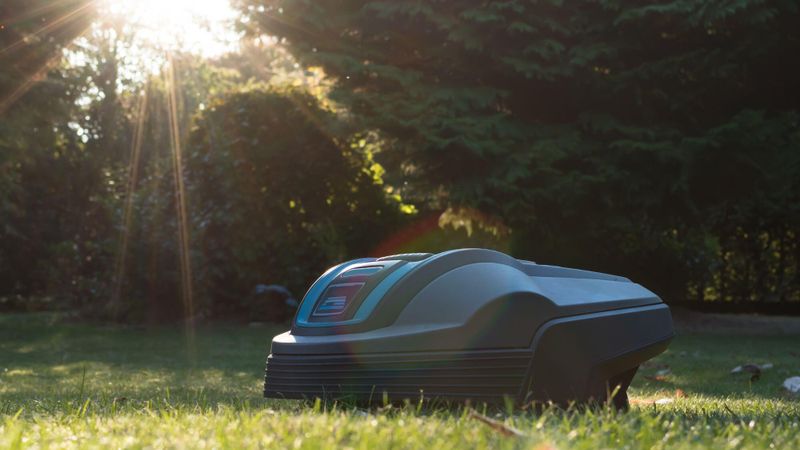 Quel est le meilleur robot tondeuse à choisir en 2025 ?