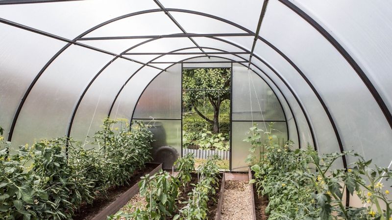 Quelle est la meilleure serre de jardin à choisir en 2025 ?