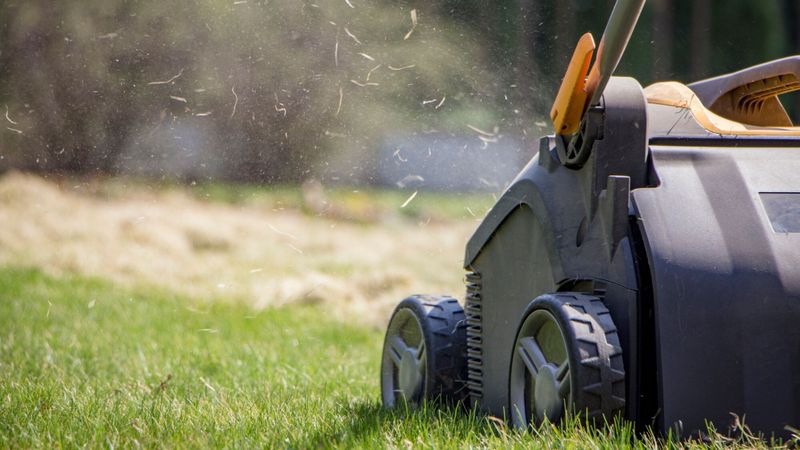 Scarificateur manuel, électrique ou thermique : lequel choisir pour un gazon parfait, sans mousse ?