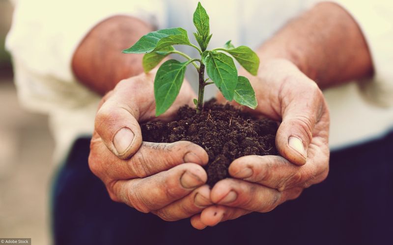 Seniors et écologie: un engagement discret mais décisif