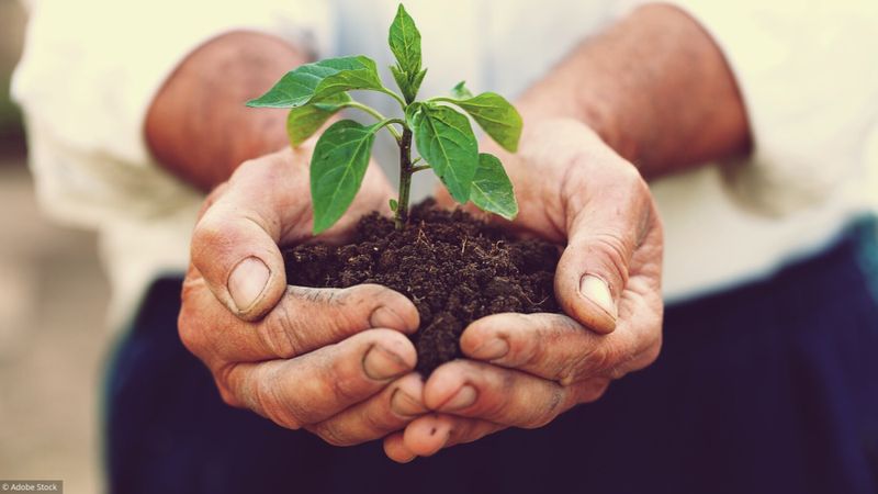 Serge Guérin: "L’écologie n’a pas d’âge"
