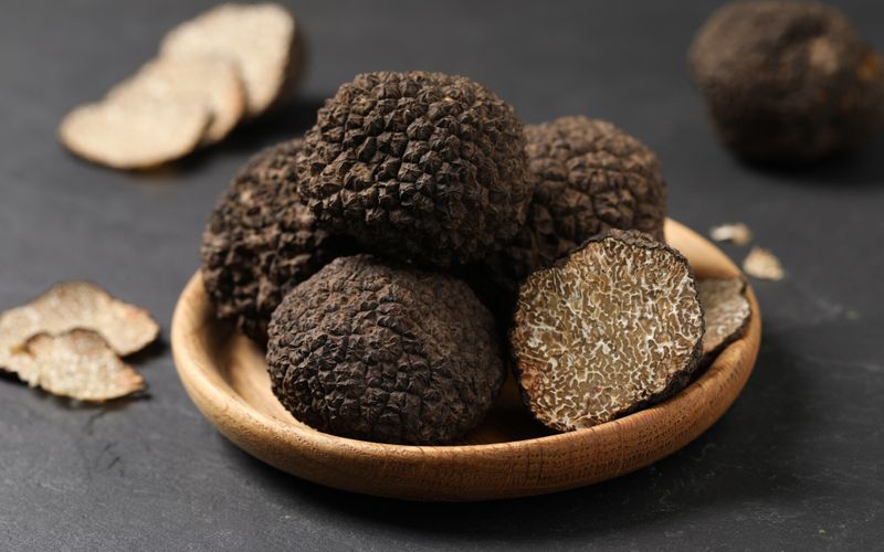 La truffe sort de terre